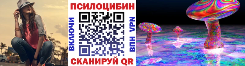 Галлюциногенные грибы Psilocybine cubensis  Купить где  Рошаль 